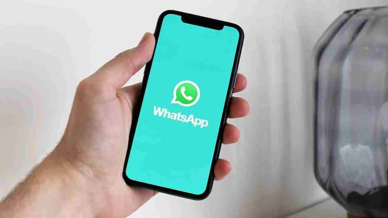 How to get blue tick on Whatsapp? Know who gets this special facility